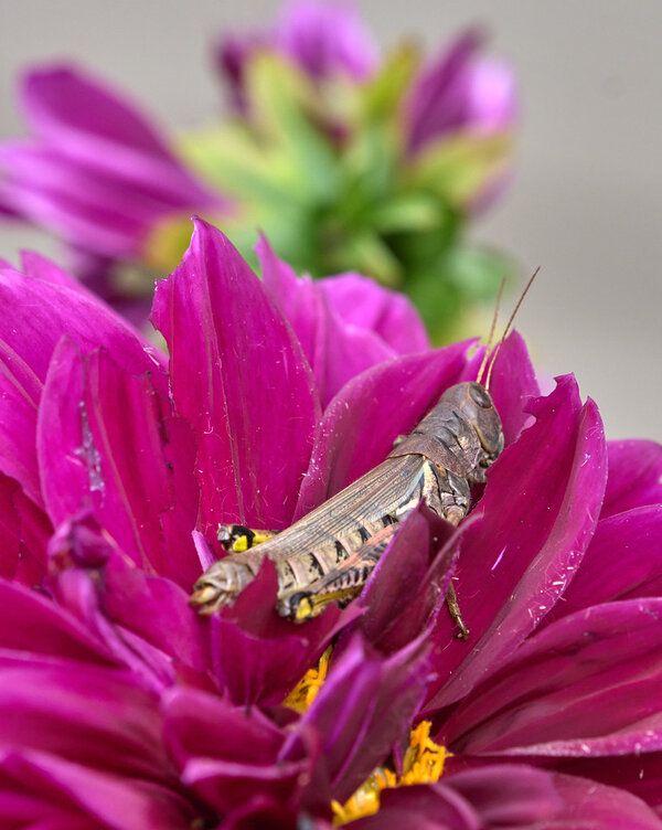 P1236422-X2.jpg