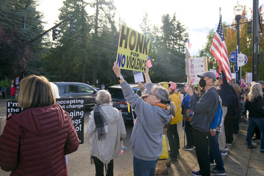 no-kings-protest-sign-non-violence-lake-oswego-or-251018-p1012754-cc.jpg