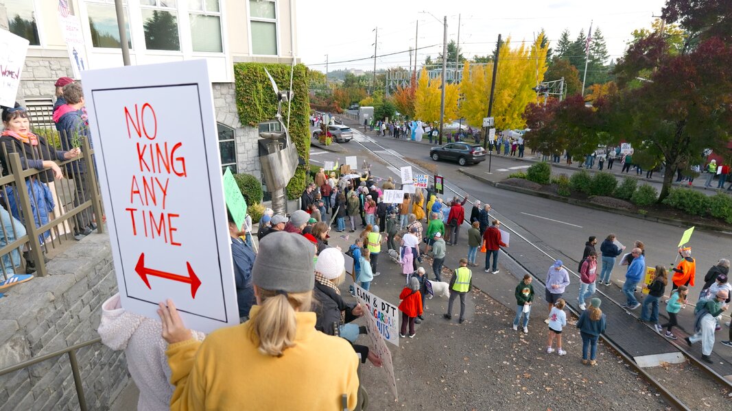 no-kings-protest-anytime-sign-lake-oswego-or-251018-p1012743-1.18.1-cc.jpg