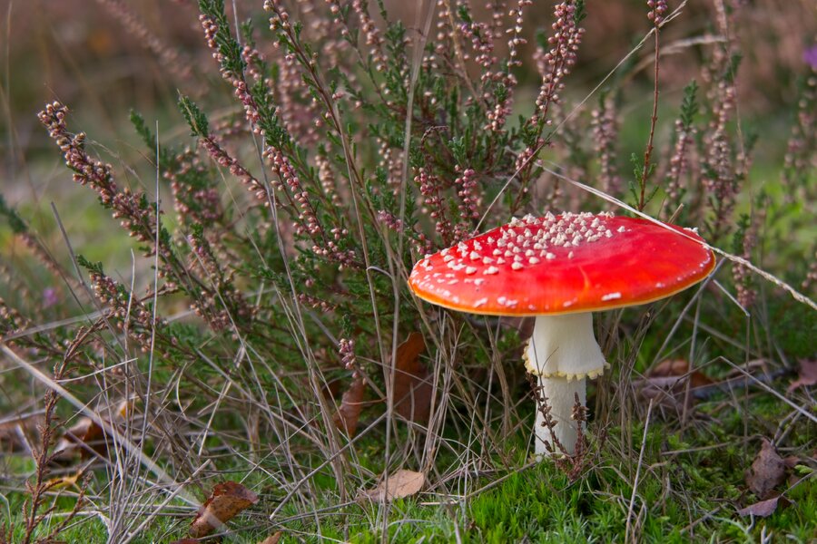 P1532474.jpg P1532474.jpg