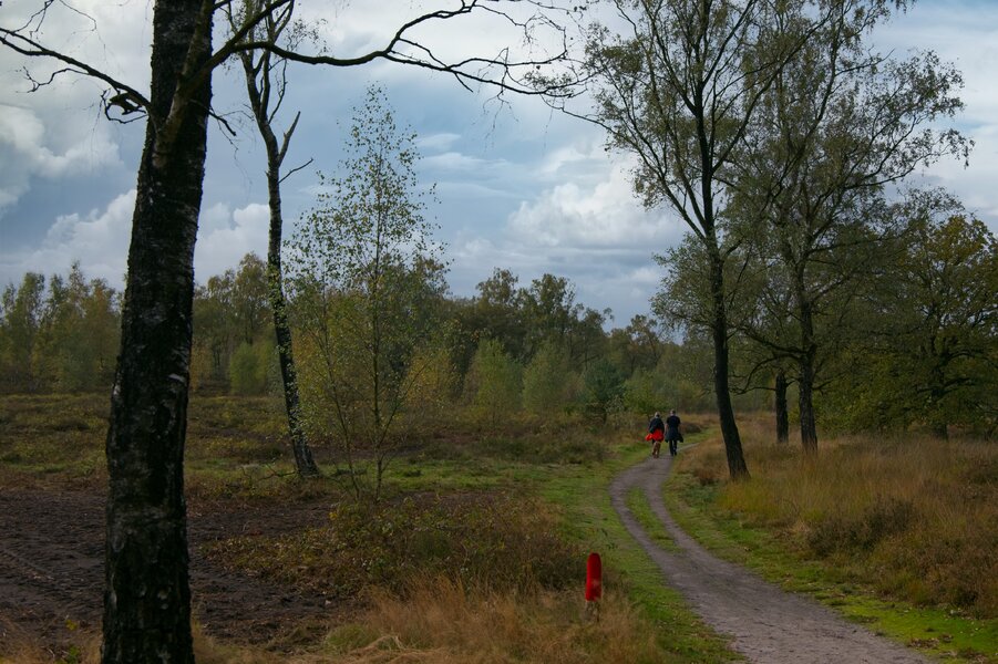 P1532480.jpg P1532480.jpg