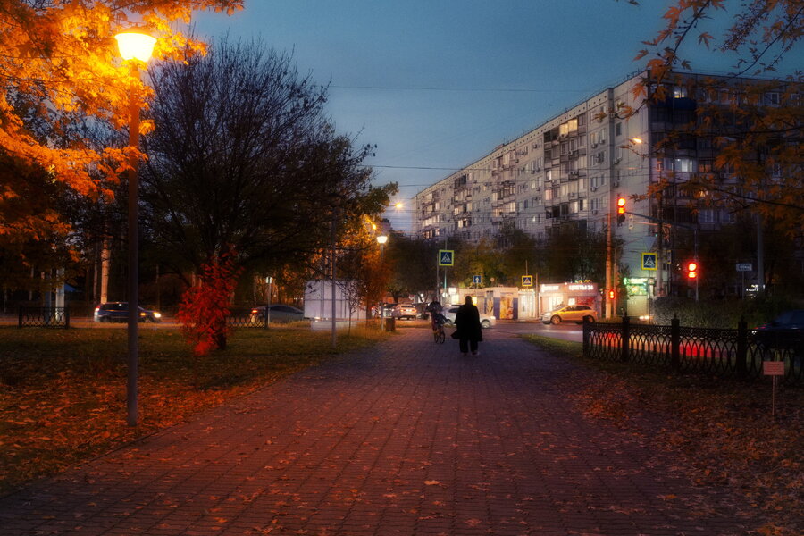 P1006986_10.jpg P1006986_10.jpg