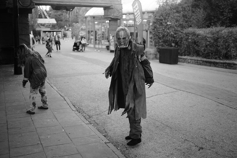 54878692880_9b9beda3c7_c.jpg 54878692880_9b9beda3c7_c.jpg