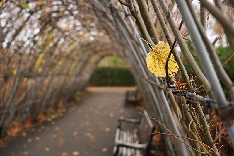 54926101394_0195290965_c.jpg 54926101394_0195290965_c.jpg