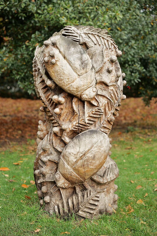 54926157455_5a02a0f214_c.jpg 54926157455_5a02a0f214_c.jpg