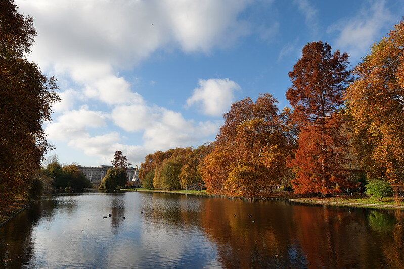 54934574485_d19b17a6b0_c.jpg 54934574485_d19b17a6b0_c.jpg