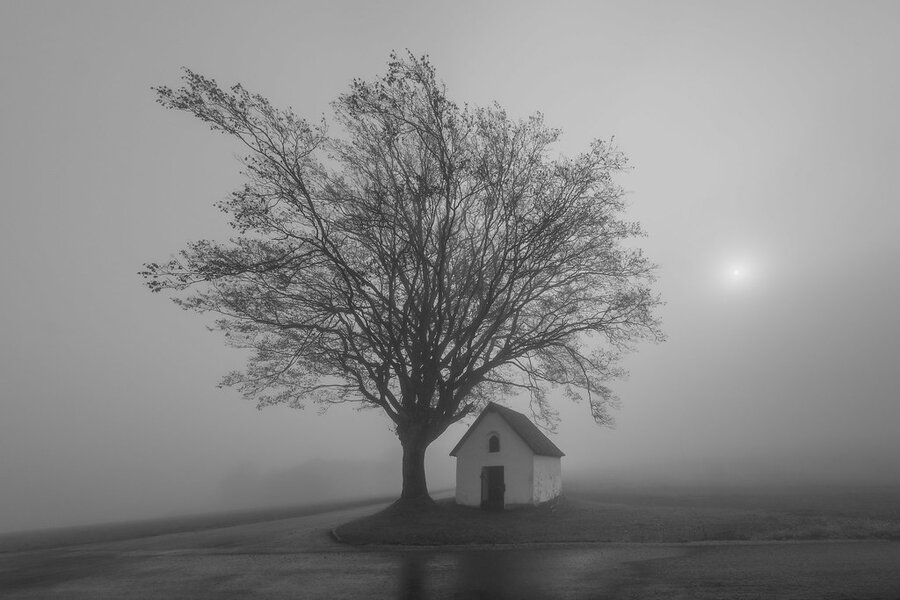 54917686739_e446af7cb2_b.jpg 54917686739_e446af7cb2_b.jpg