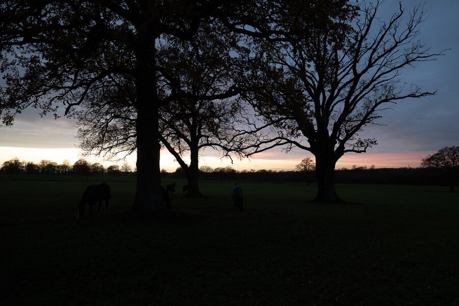 PS518300_1024.jpg PS518300_1024.jpg