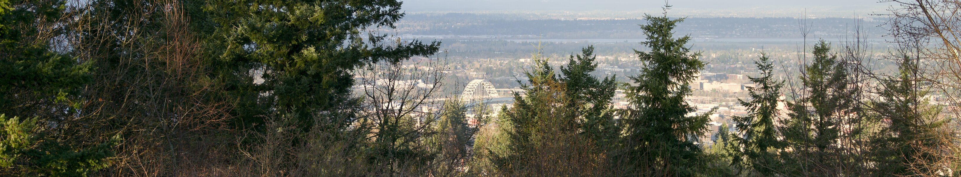 pjd-nw-fremont-bridge-70mm-251207-p1002565-65-12-crop_h.jpg