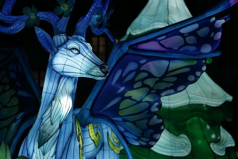 54968746684_9eff62ef9d_c.jpg 54968746684_9eff62ef9d_c.jpg