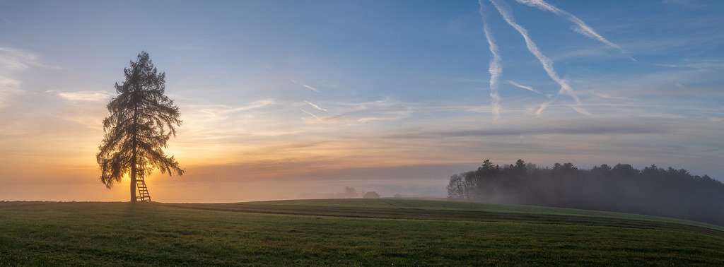 54952264569_a6433ea928_b.jpg 54952264569_a6433ea928_b.jpg