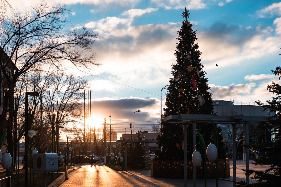 P1007609-2.jpg P1007609-2.jpg