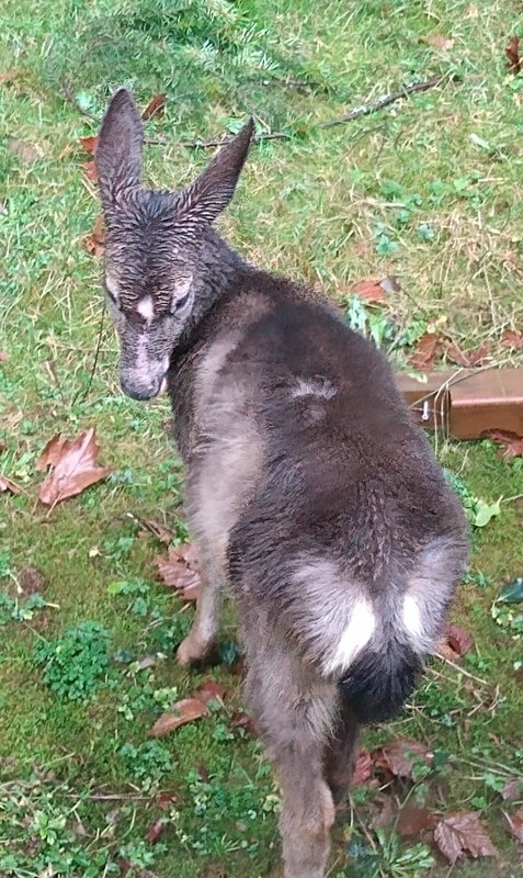 IMG_20251226_143538213_edited.jpeg IMG_20251226_143538213_edited.jpeg