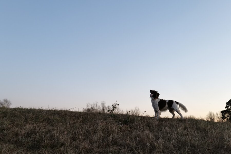 AP1GczPiyc-gZPwpDwku7DVNJn9GItjUgCkTcfOMV7q-qHY_-GYrFOMBJ0p9vl2CwLQfNb1BZzgZaZeONVQl21uoSxtsa...jpeg AP1GczPiyc-gZPwpDwku7DVNJn9GItjUgCkTcfOMV7q-qHY_-GYrFOMBJ0p9vl2CwLQfNb1BZzgZaZeONVQl21uoSxtsa...jpeg