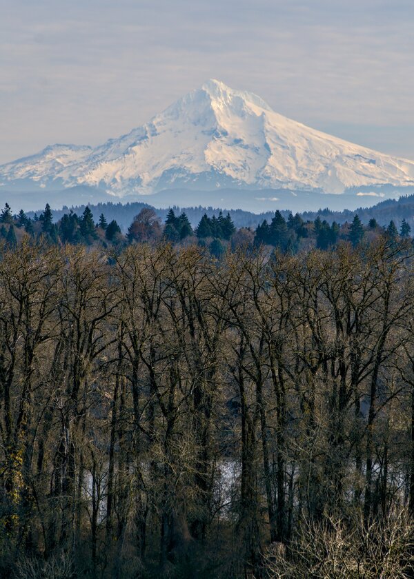 pjd_mt-hood-50-miles-east-of-portland-oregon-251231-p1012949_h.jpg