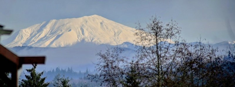 01147908 (1)_edited.jpeg