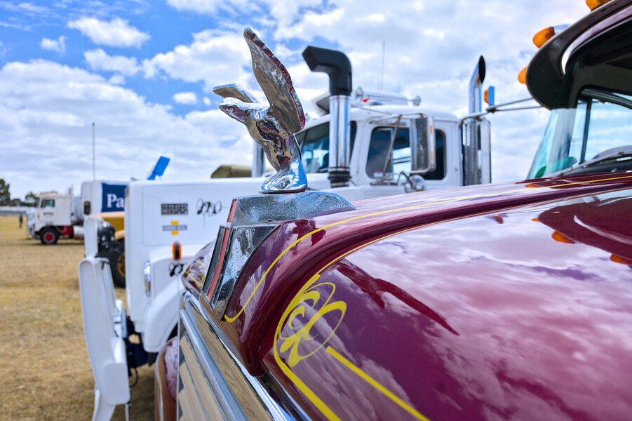 26Jan10_P1038179.jpg 26Jan10_P1038179.jpg