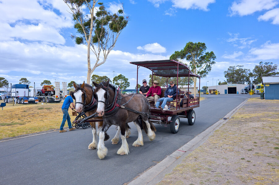 26Jan10_P1038197.jpg 26Jan10_P1038197.jpg