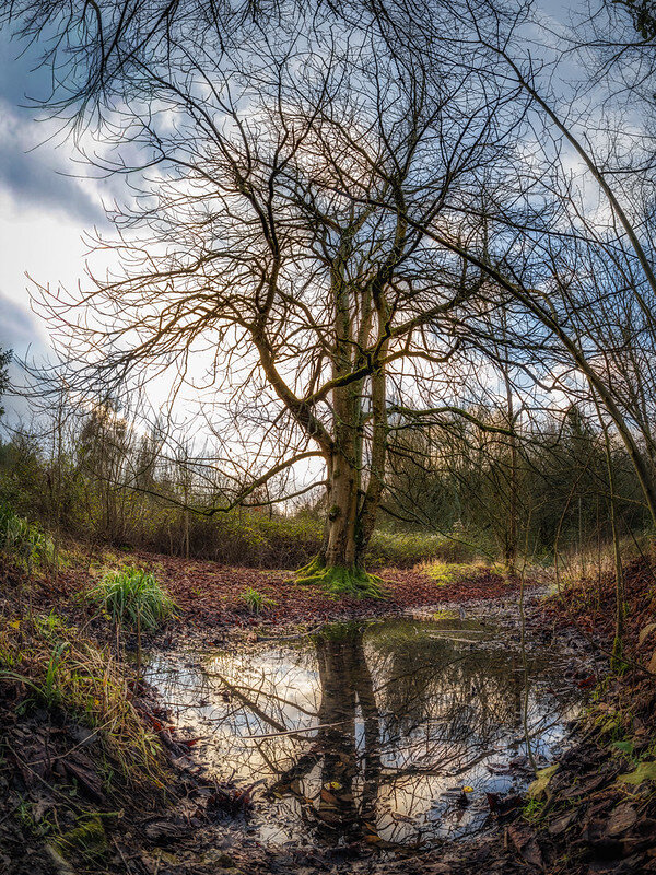 55039356814_b44ef2c321_c.jpg 55039356814_b44ef2c321_c.jpg