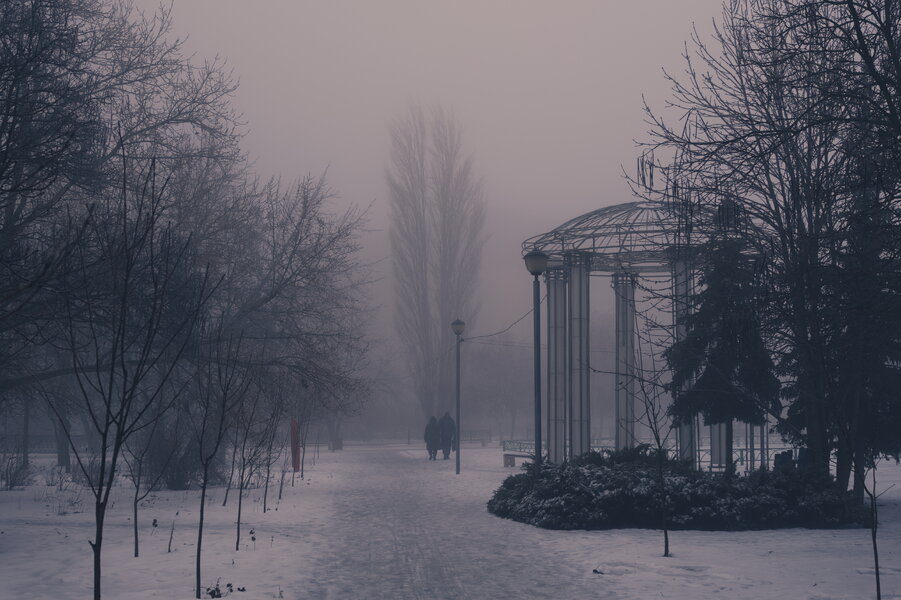 P1007859_7.jpg P1007859_7.jpg