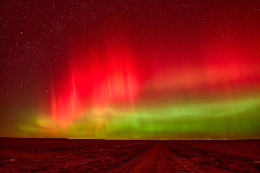 P1236903_10848-X2.jpg P1236903_10848-X2.jpg