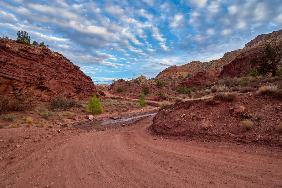 P1226130%203-X2.jpg P1226130%203-X2.jpg