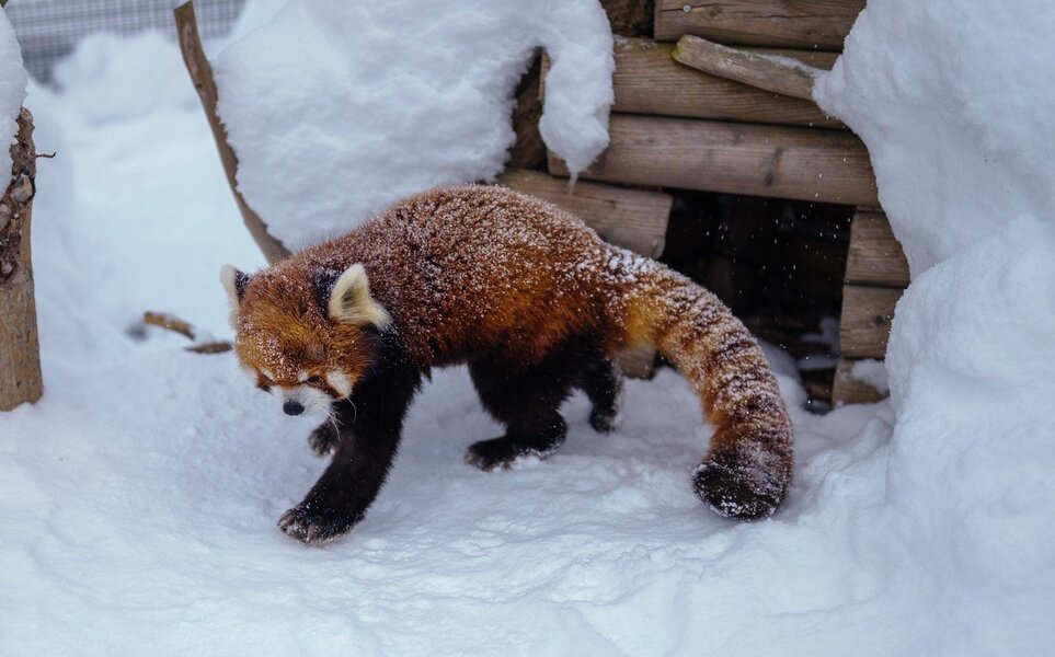 P1200447 Large.jpeg P1200447 Large.jpeg