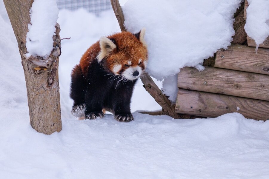 P1200591 Large.jpeg P1200591 Large.jpeg