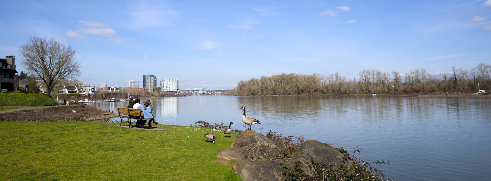 pjd_willamette-river-geese-skyline-ws-portland-or-260302-p1002898_h.jpg