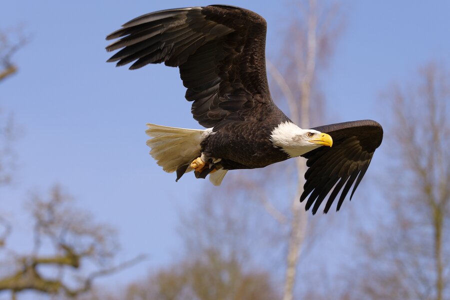 PS1_3098.jpg PS1_3098.jpg