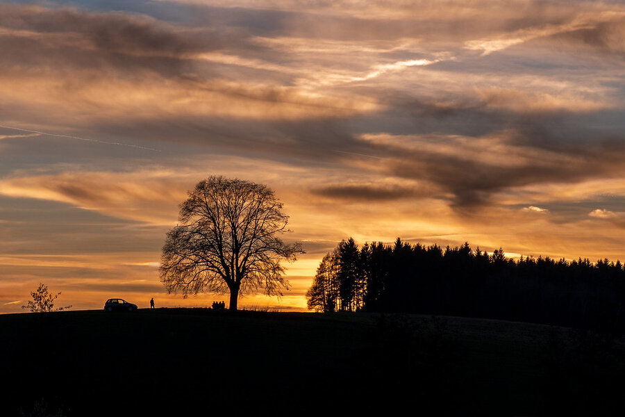 55145891347_4821692e55_b.jpg 55145891347_4821692e55_b.jpg