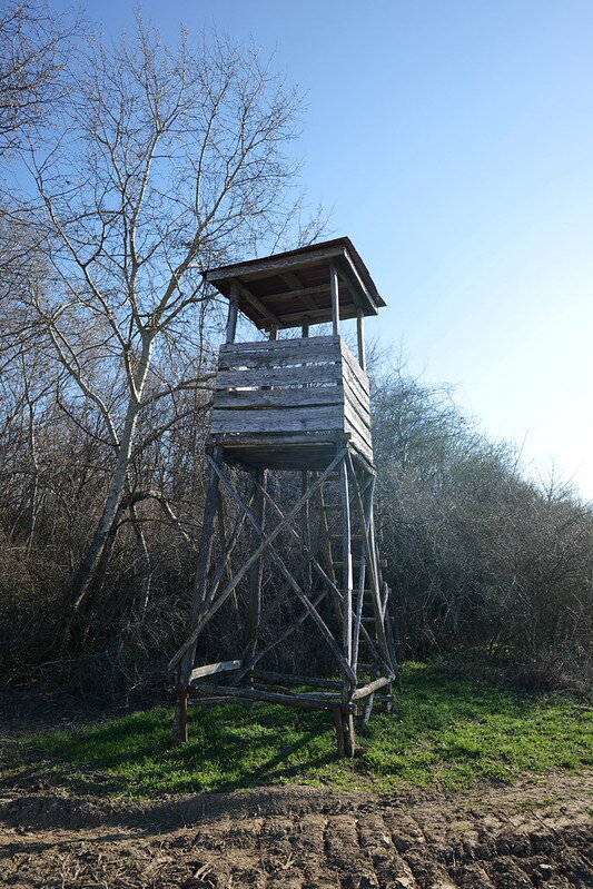 55147518658_560065d4b0_c.jpg 55147518658_560065d4b0_c.jpg