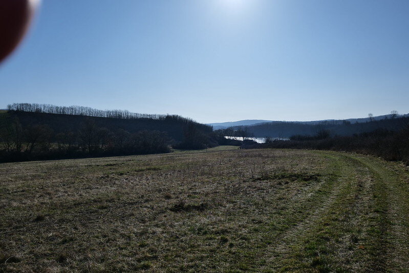 55146465082_a5359565ab_c.jpg 55146465082_a5359565ab_c.jpg