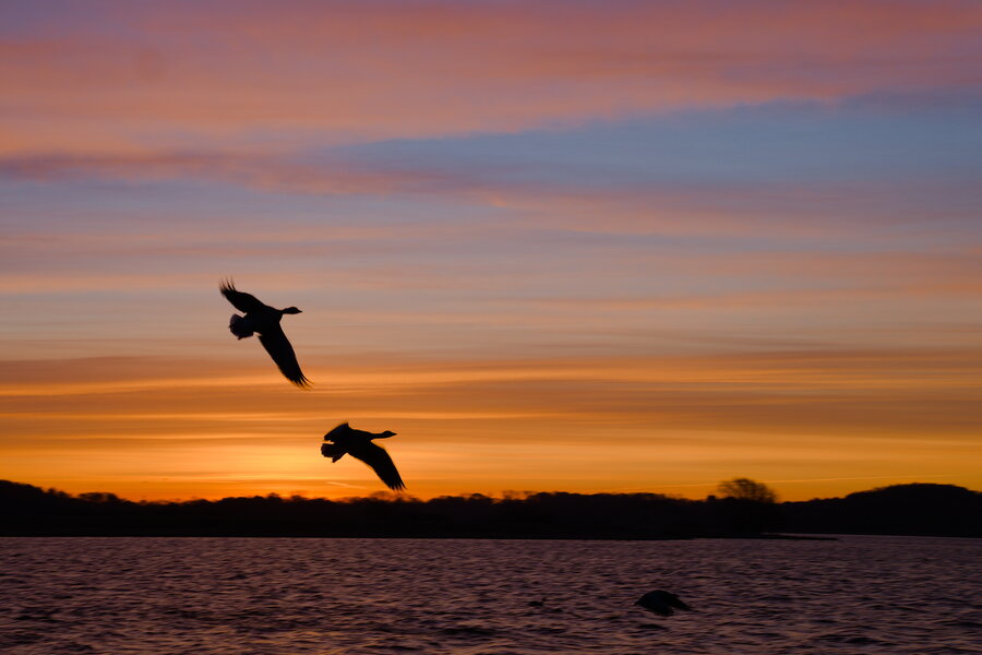 2026-03-13_073920_p1096806_4.jpg 2026-03-13_073920_p1096806_4.jpg