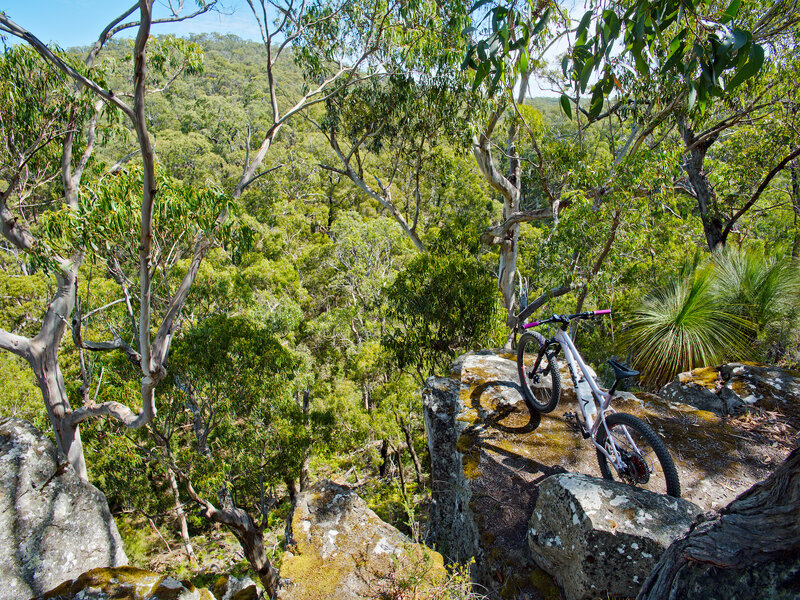 2026-Mar14-P1000897-01.jpg 2026-Mar14-P1000897-01.jpg