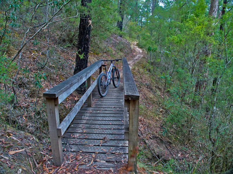 2026-Mar07-P1101968-01.jpg 2026-Mar07-P1101968-01.jpg