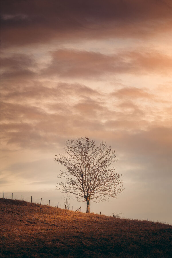 _PDM9006-HDR-Edit-2.jpg _PDM9006-HDR-Edit-2.jpg