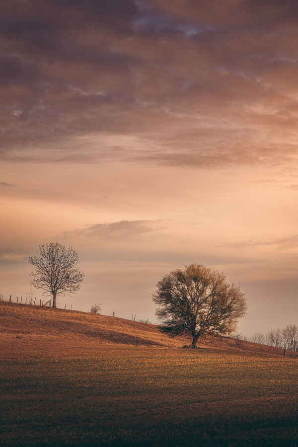 _PDM9016-HDR.jpg _PDM9016-HDR.jpg