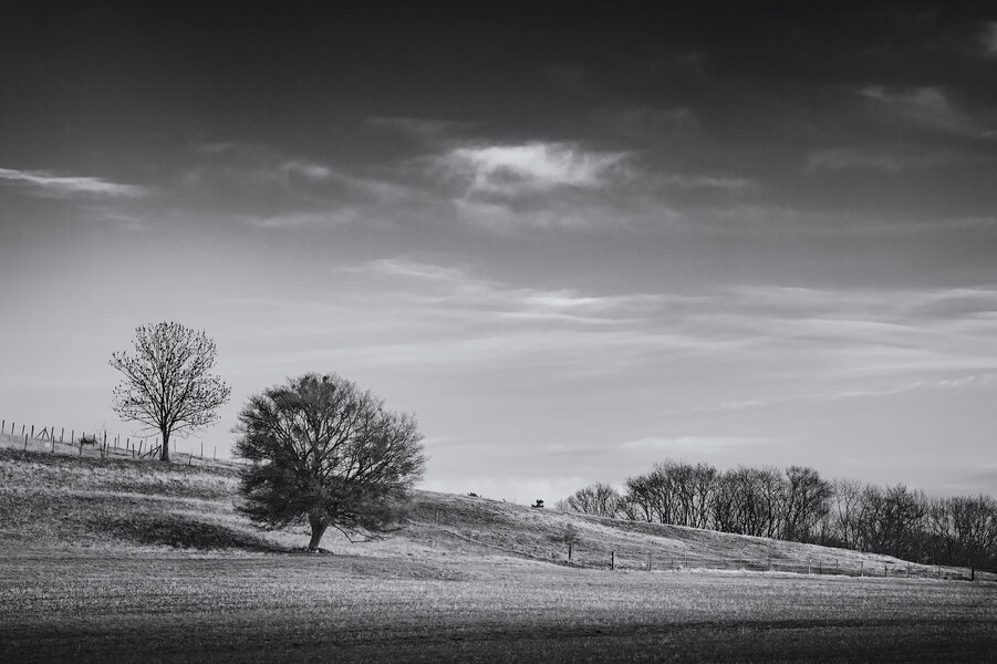 _PDM9698-HDR-2.jpg _PDM9698-HDR-2.jpg