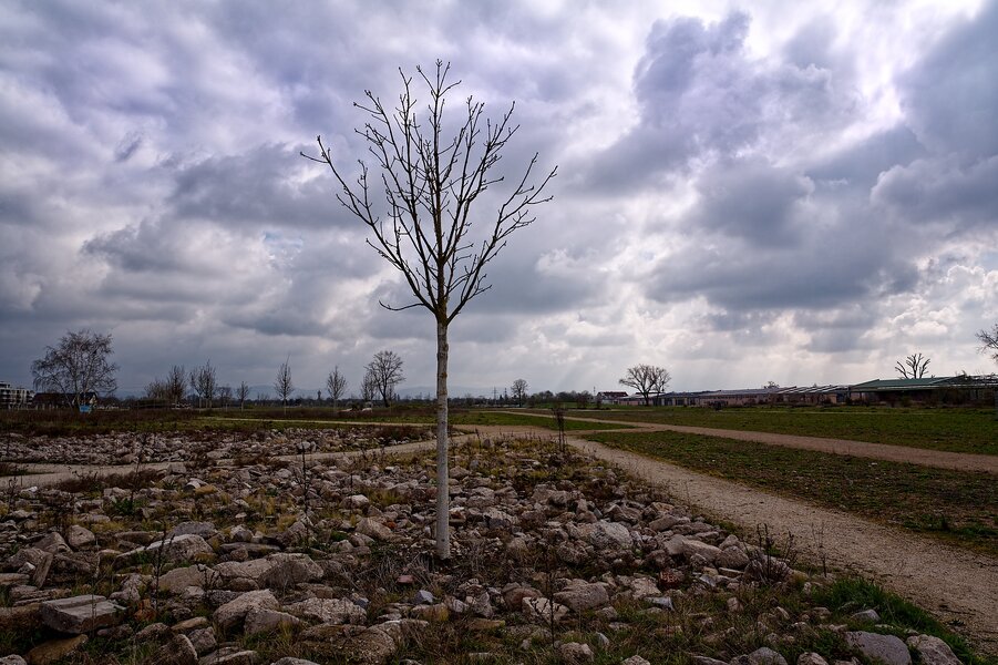 P1015948_kl.jpeg P1015948_kl.jpeg