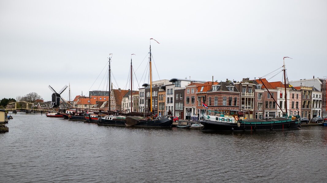 PANA7537.jpg PANA7537.jpg