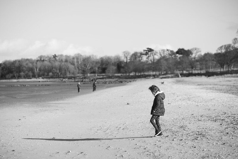 55174268600_c99fdce235_c.jpg 55174268600_c99fdce235_c.jpg