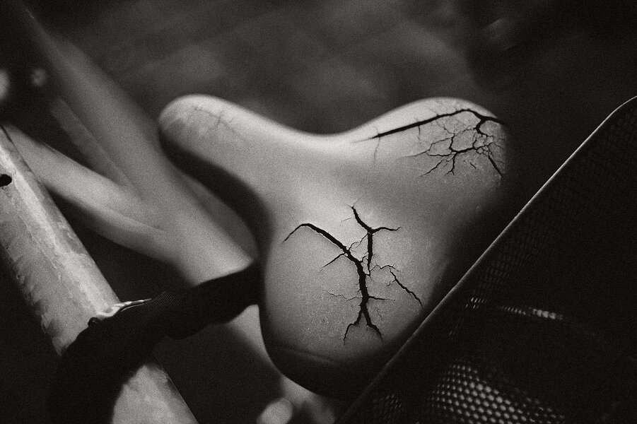 P1016115_kl.jpeg P1016115_kl.jpeg