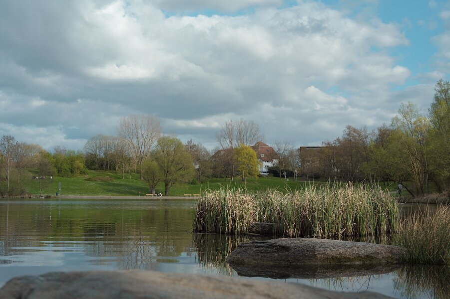 P1016102_kl.jpeg P1016102_kl.jpeg