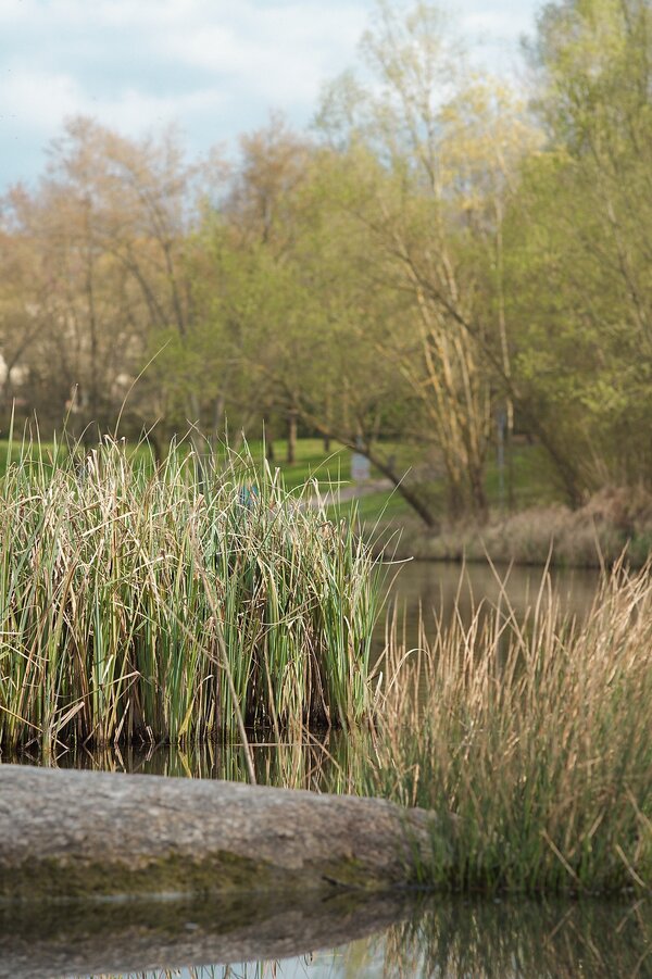 P1016103_kl.jpeg P1016103_kl.jpeg