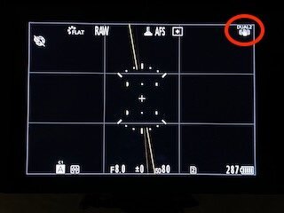 IMG_9338.jpeg IMG_9338.jpeg