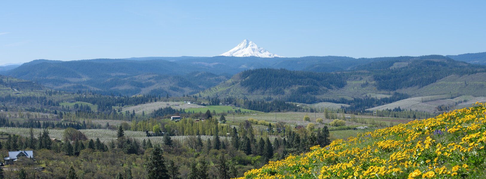 pjd_columbia-river-gorge-oregon-mt-hood-from-memaloose-hill-trail-260409-p1013080_h.jpg