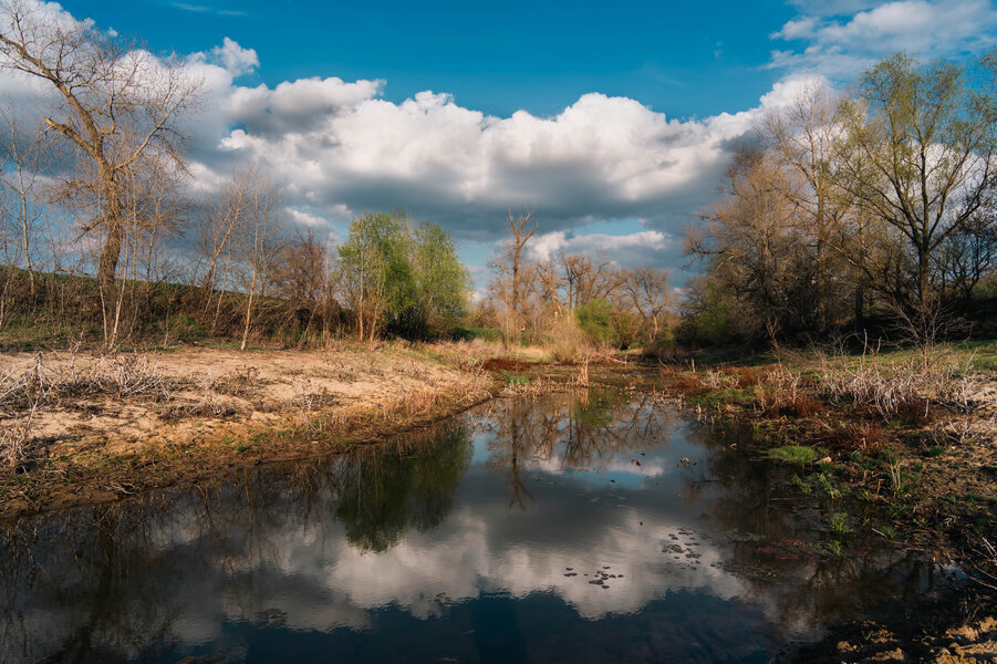 P1009519-4.jpg