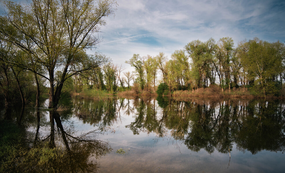 P1009698-4.jpg