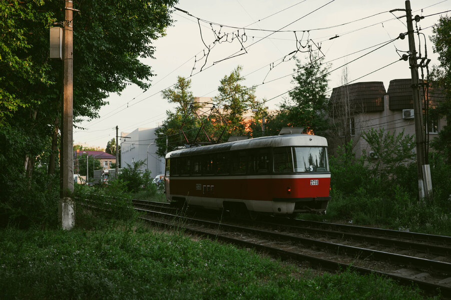 P1010947-4.jpg